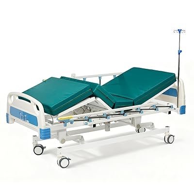 Motor Backrest Hospital Bed
